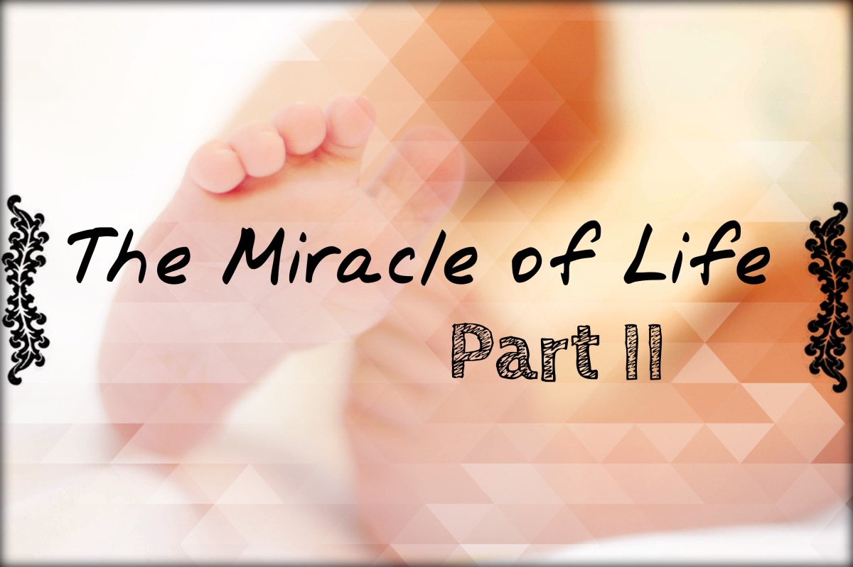 Intelligent Design – The Miracle of Life Part II