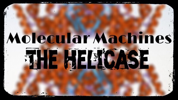 Molecular Machines – Helicase